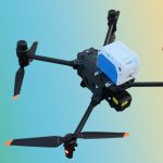 秋高氣爽，又是一年重陽……